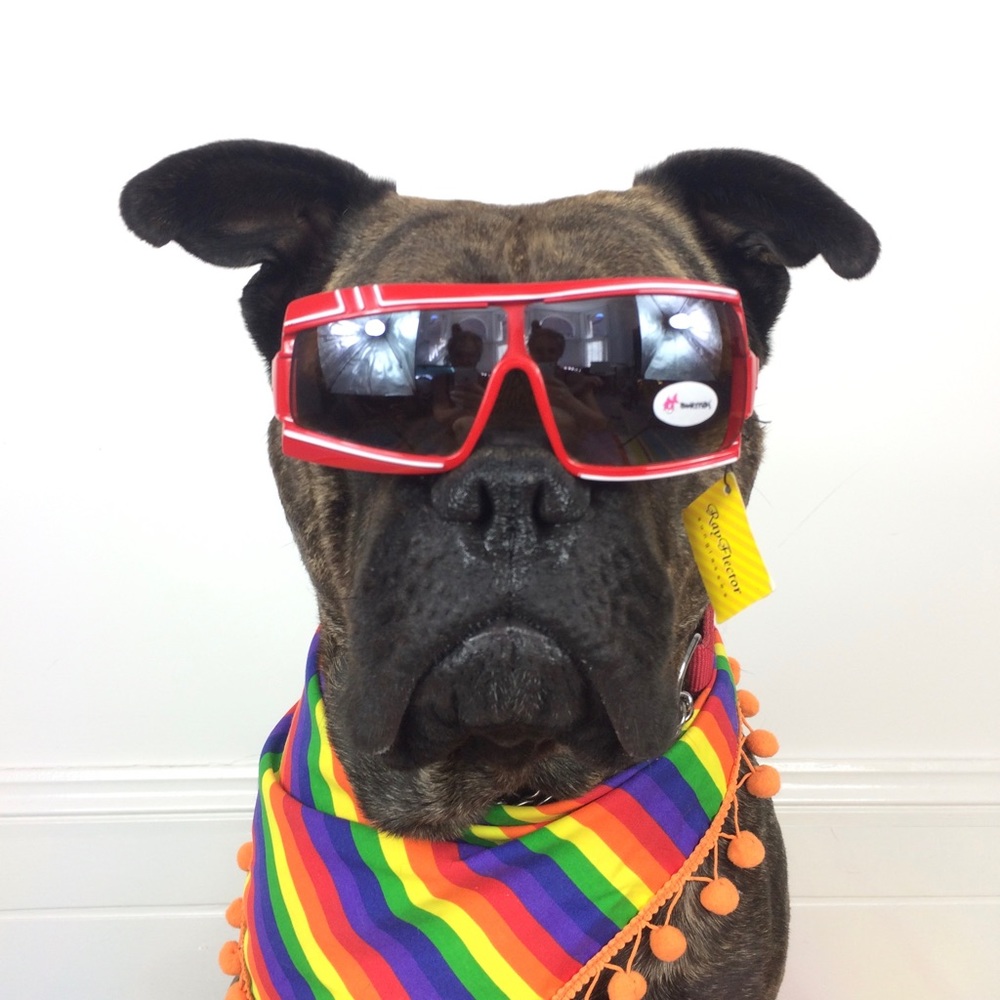 Meet your Posher, Harriet